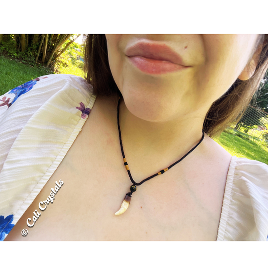 Real Coyote Tooth Necklace with Adjustable Cord