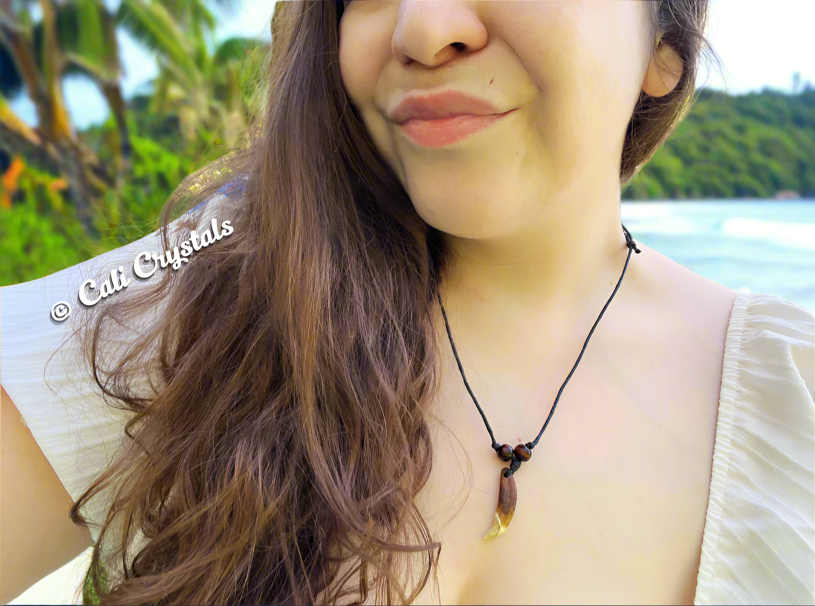 Real Coyote Tooth Necklace with Adjustable Cord