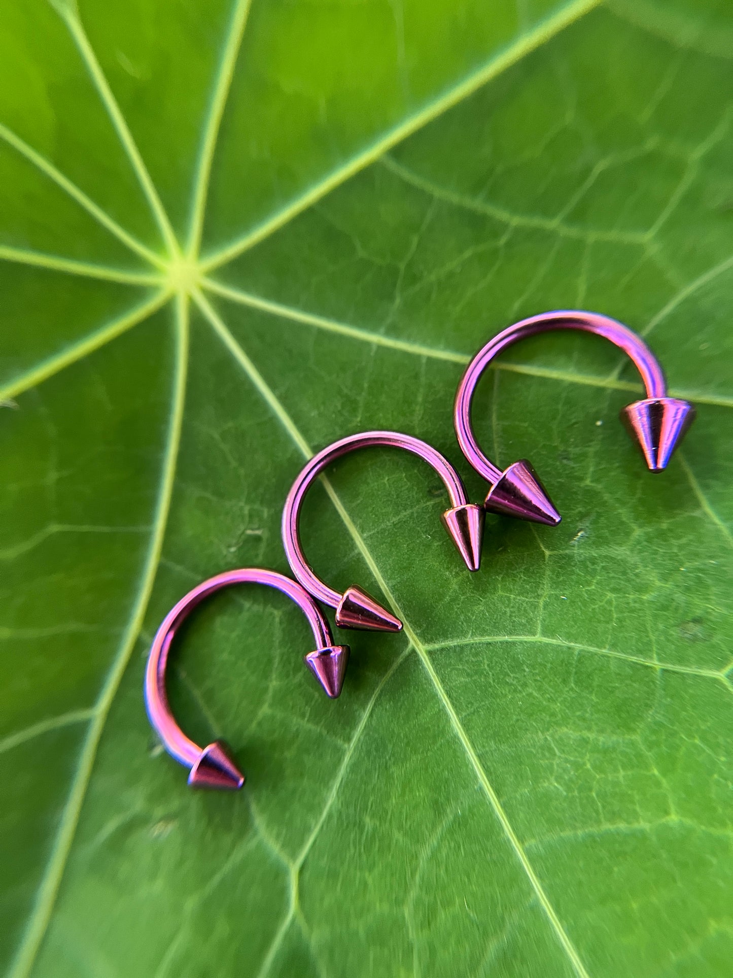 Purple Titanium Plated Pick Your Spike Length 16G Horseshoe Ring