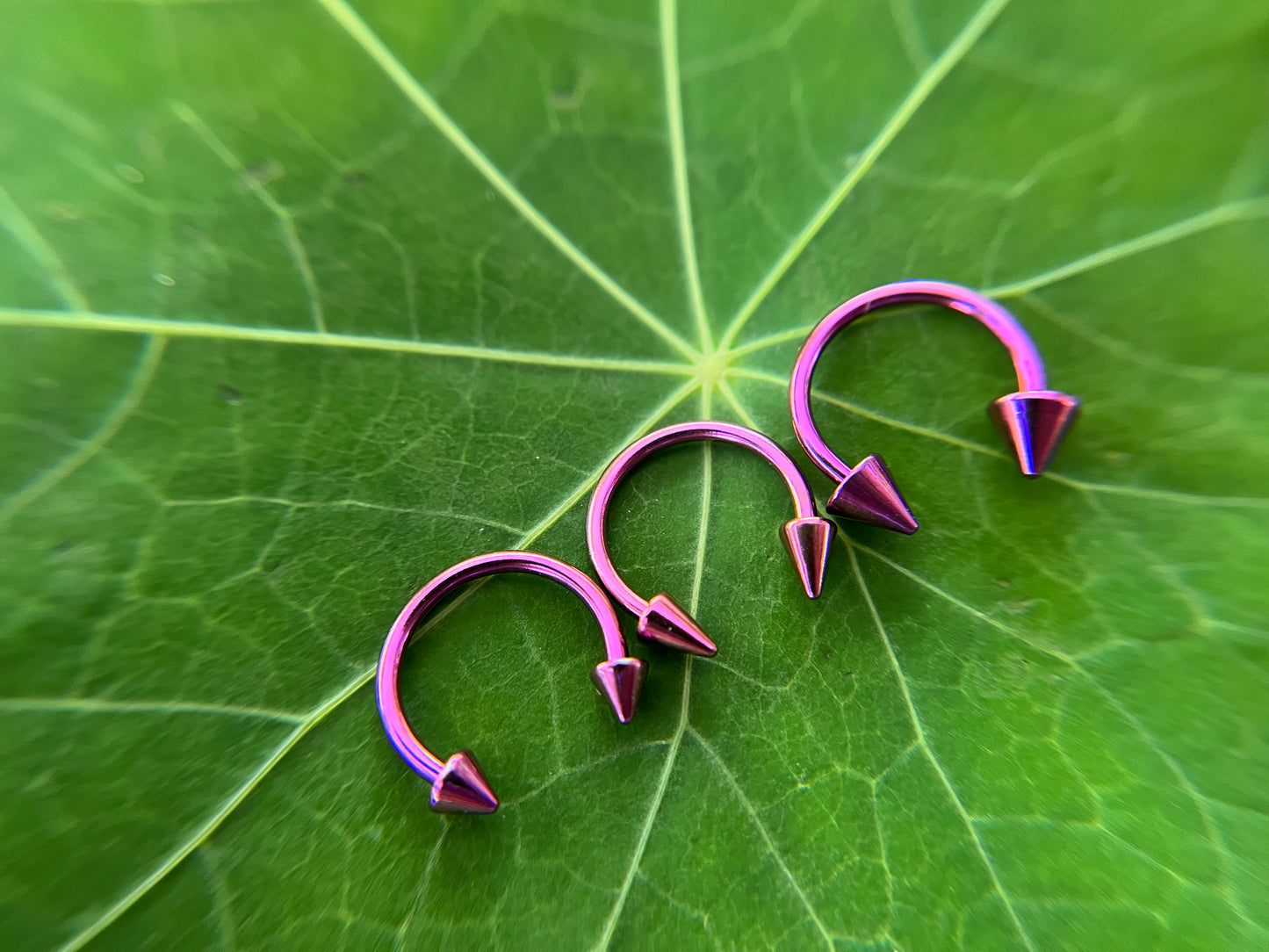 Purple Titanium Plated Pick Your Spike Length 16G Horseshoe Ring