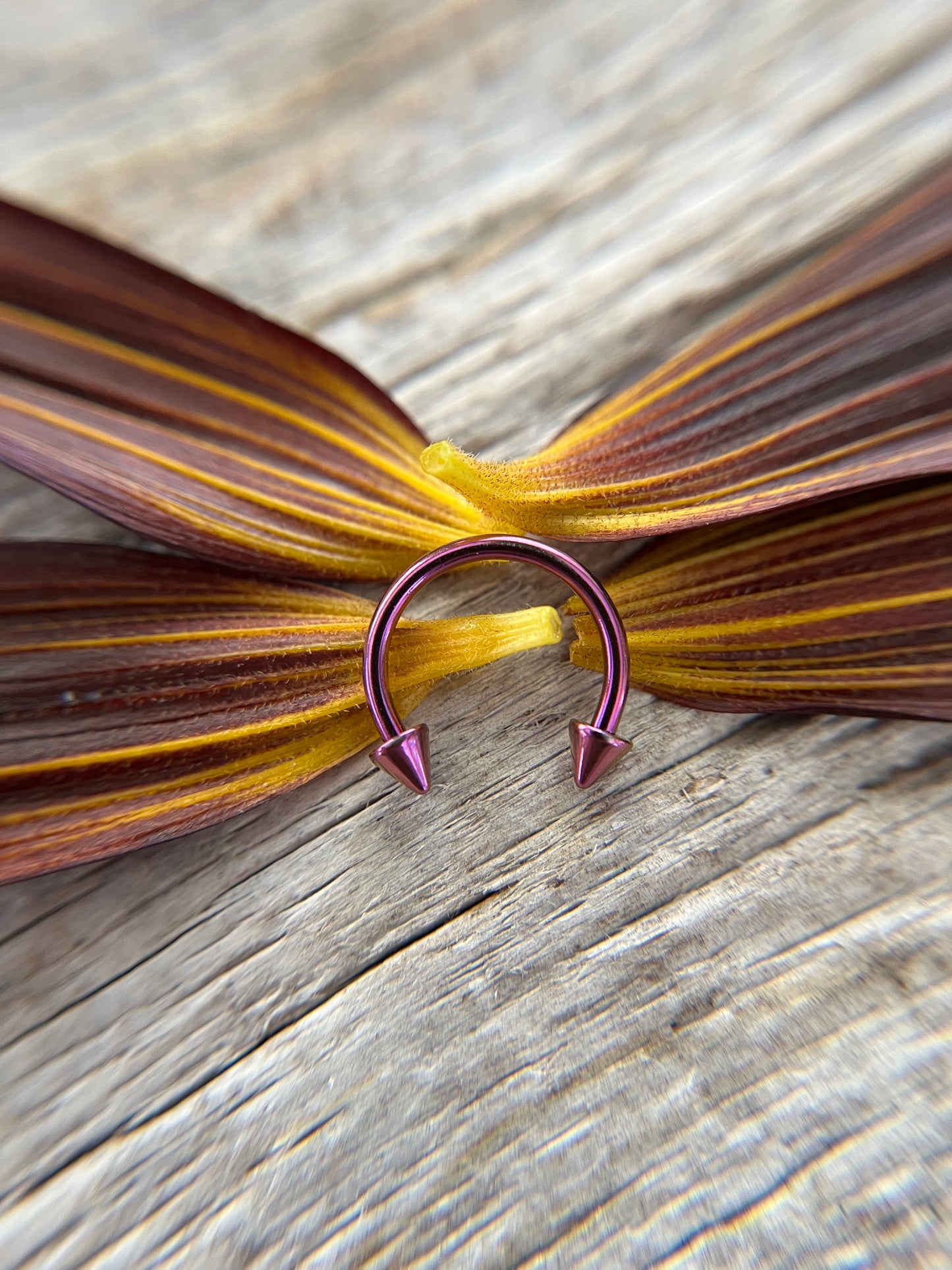 Purple Titanium Plated Pick Your Spike Length 16G Horseshoe Ring