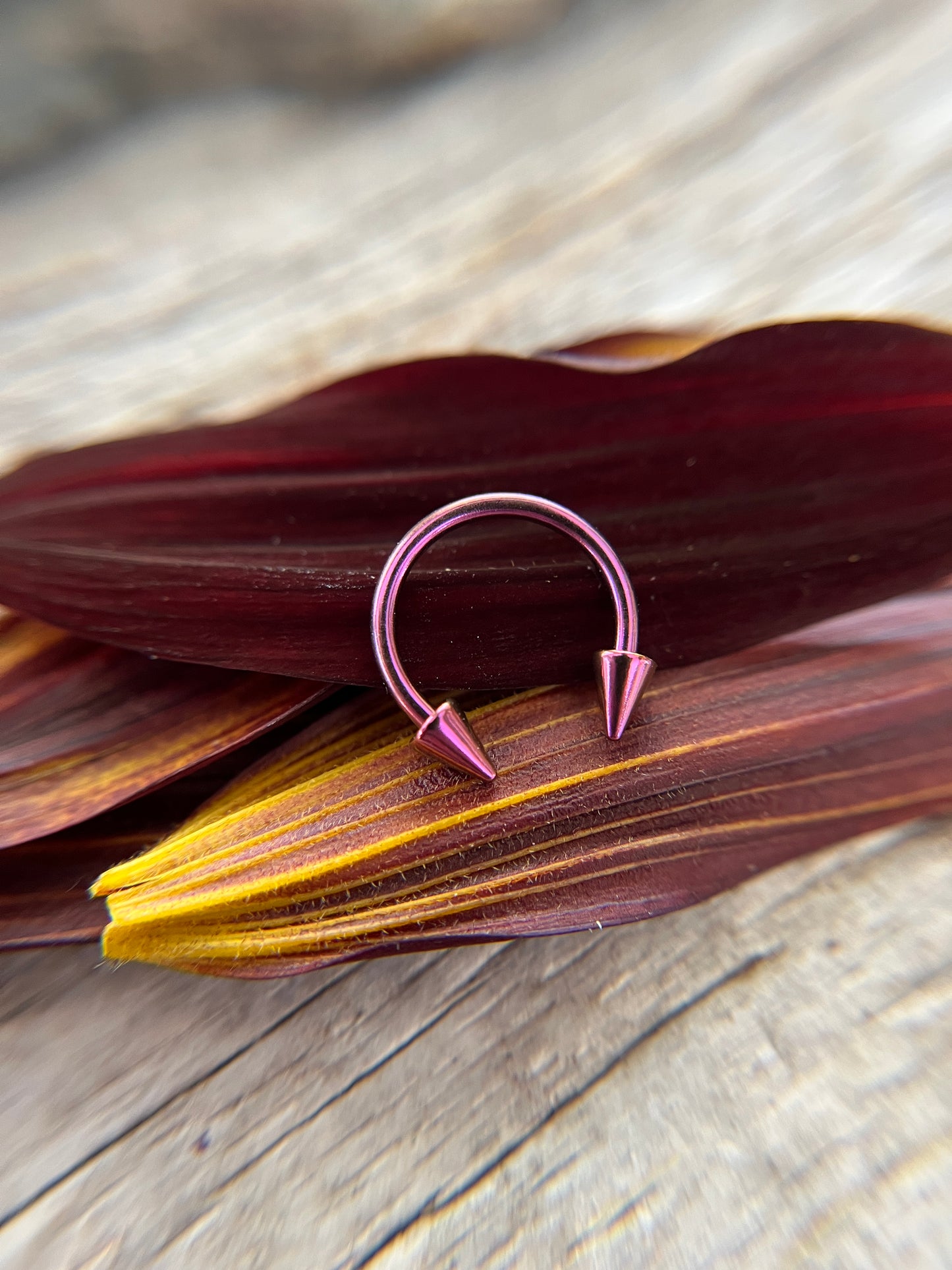 Purple Titanium Plated Pick Your Spike Length 16G Horseshoe Ring