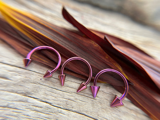Purple Titanium Plated Pick Your Spike Length 16G Horseshoe Ring