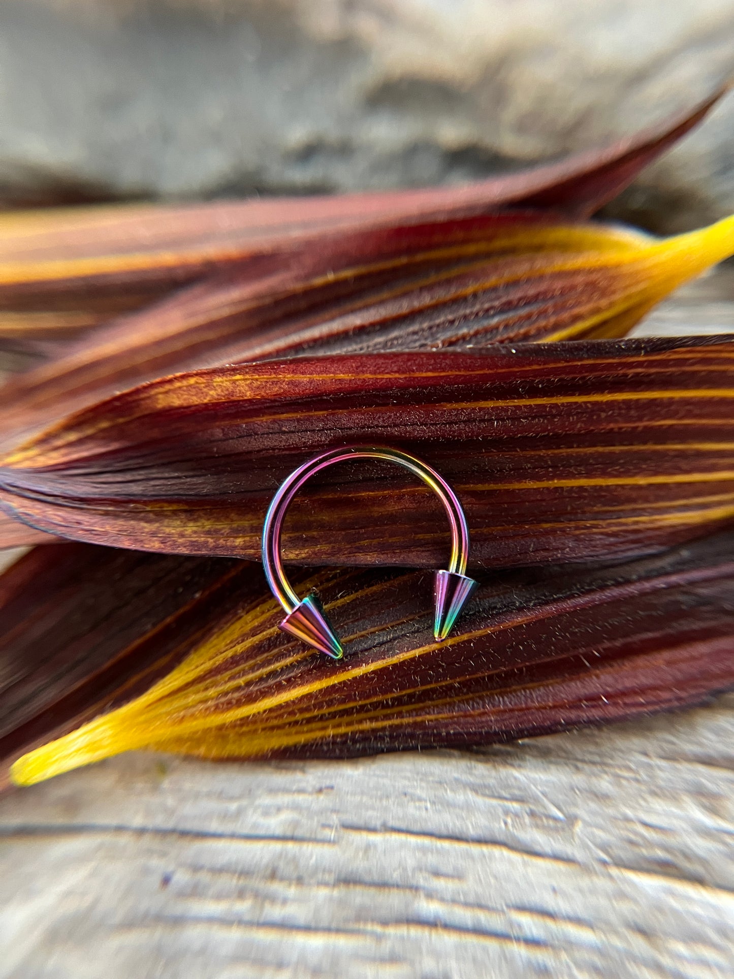 Rainbow Titanium Plated Pick Your Spike Length 16G Horseshoe Ring