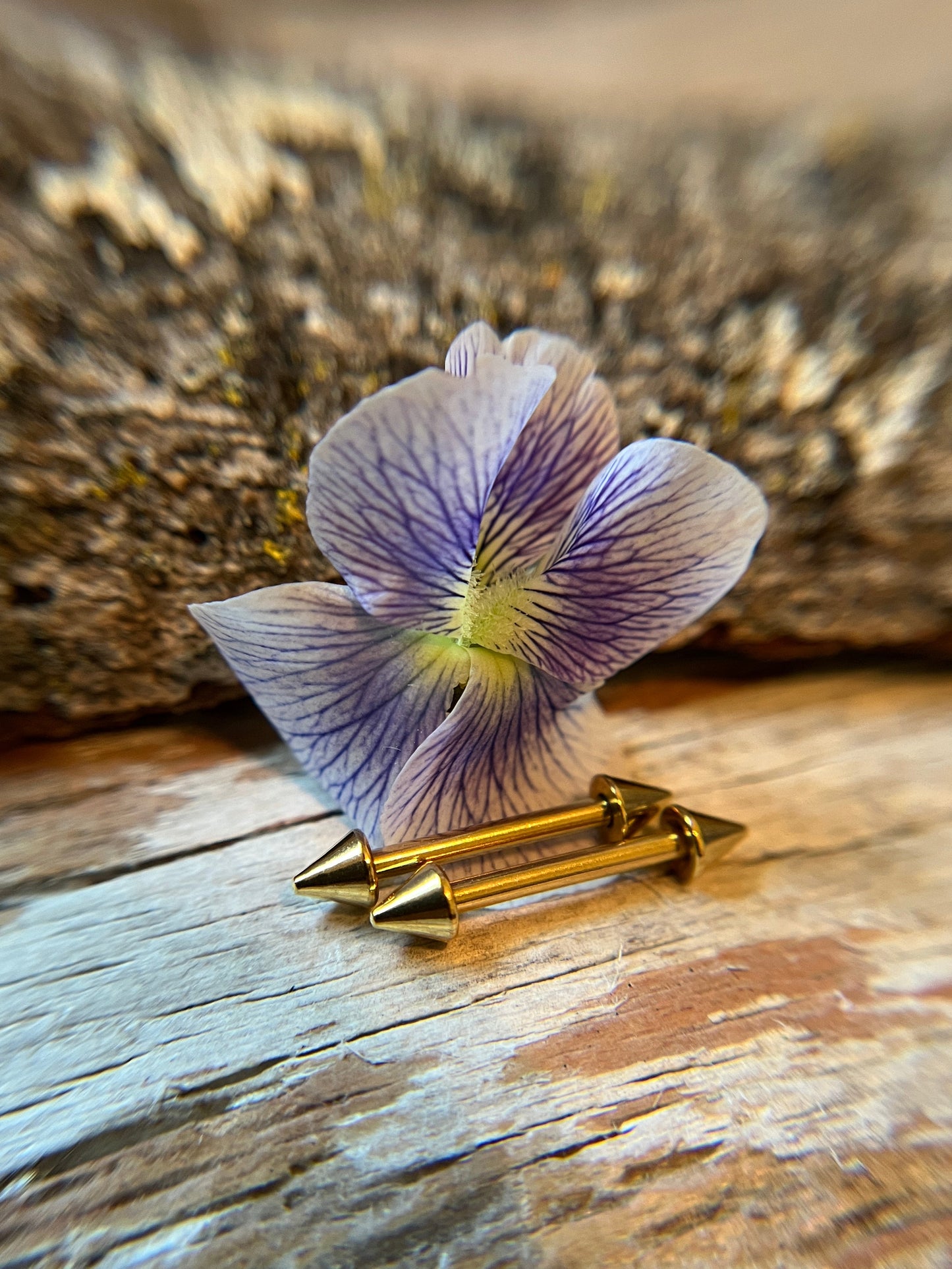 Pair of Petite Spikes Gold Titanium IP 14G Nipple Piercing Barbells