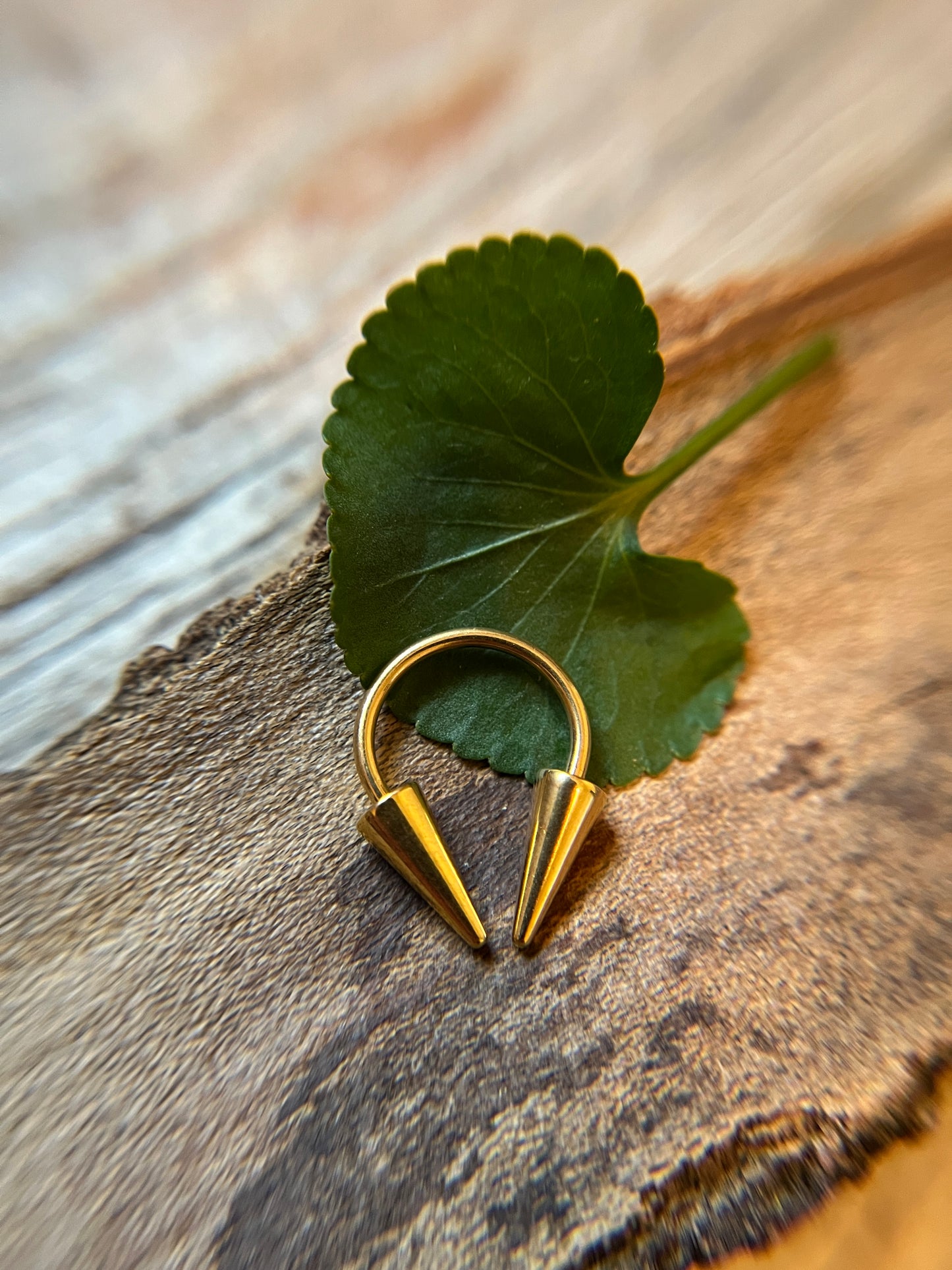 Gold Titanium Ion Plated Long Spikes 16G or 14G Horseshoe Ring