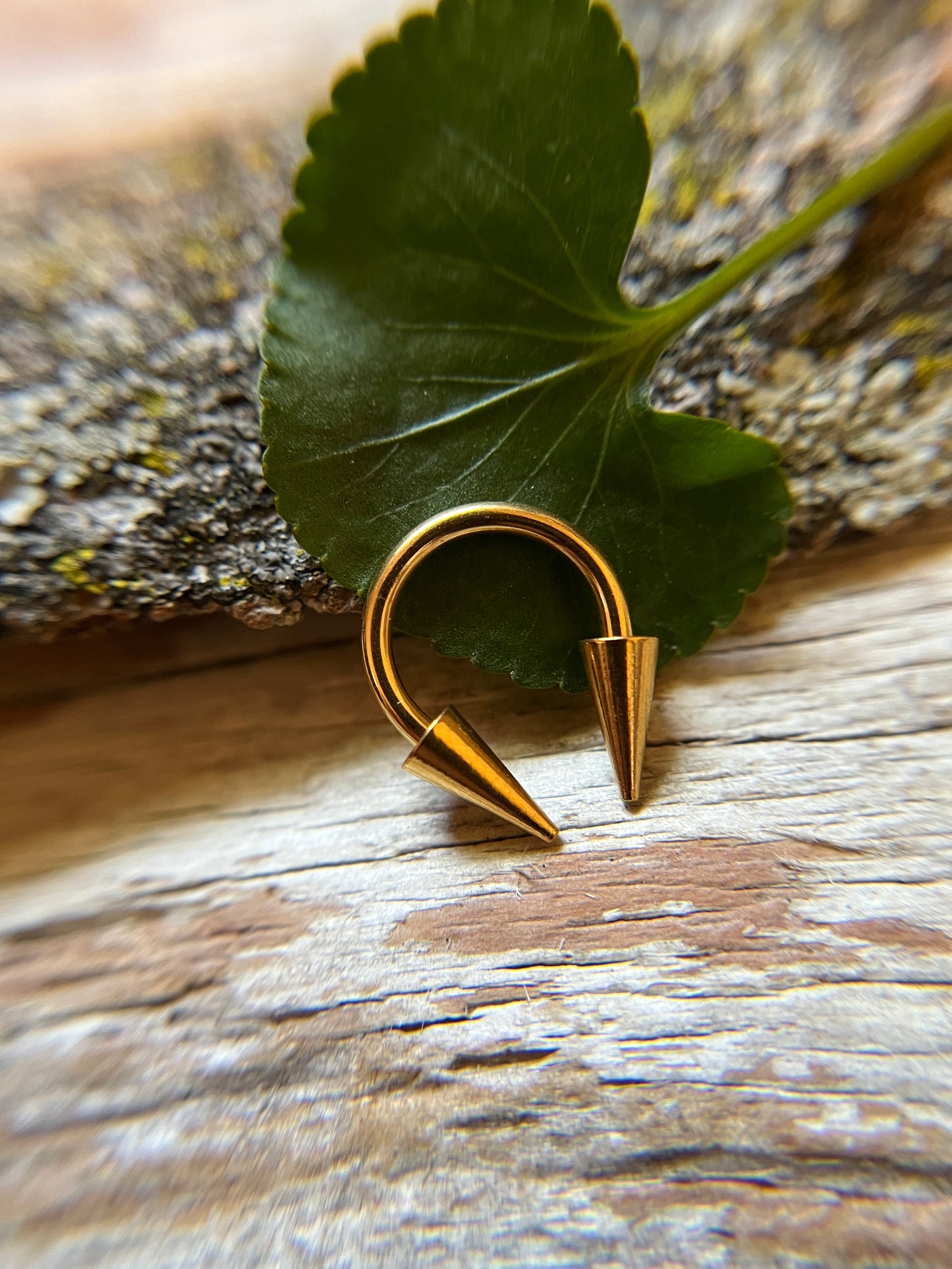 Gold Titanium Ion Plated Long Spikes 16G or 14G Horseshoe Ring