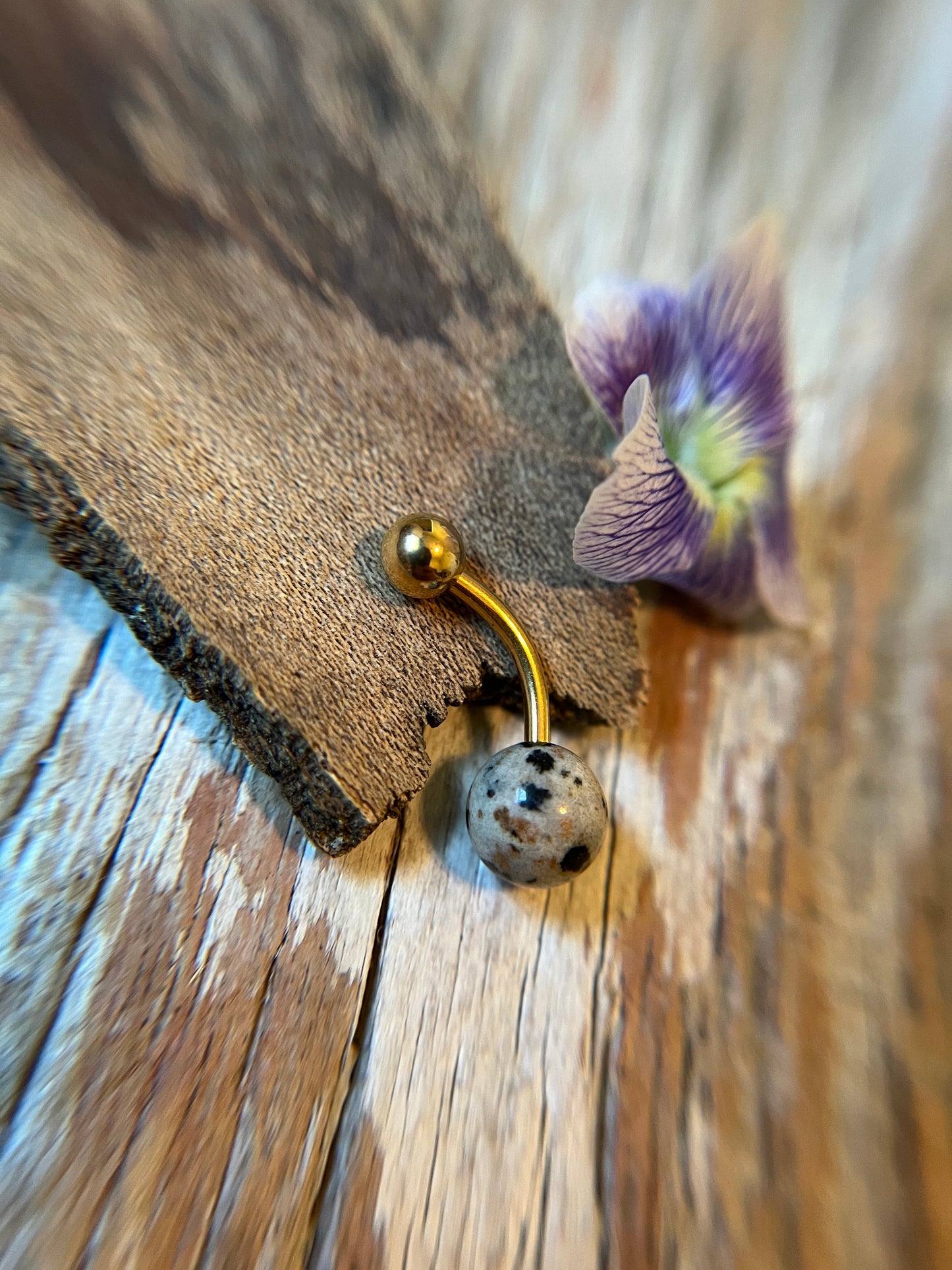 SALE! Dalmatian Jasper Natural Stone 14G Curved Barbell