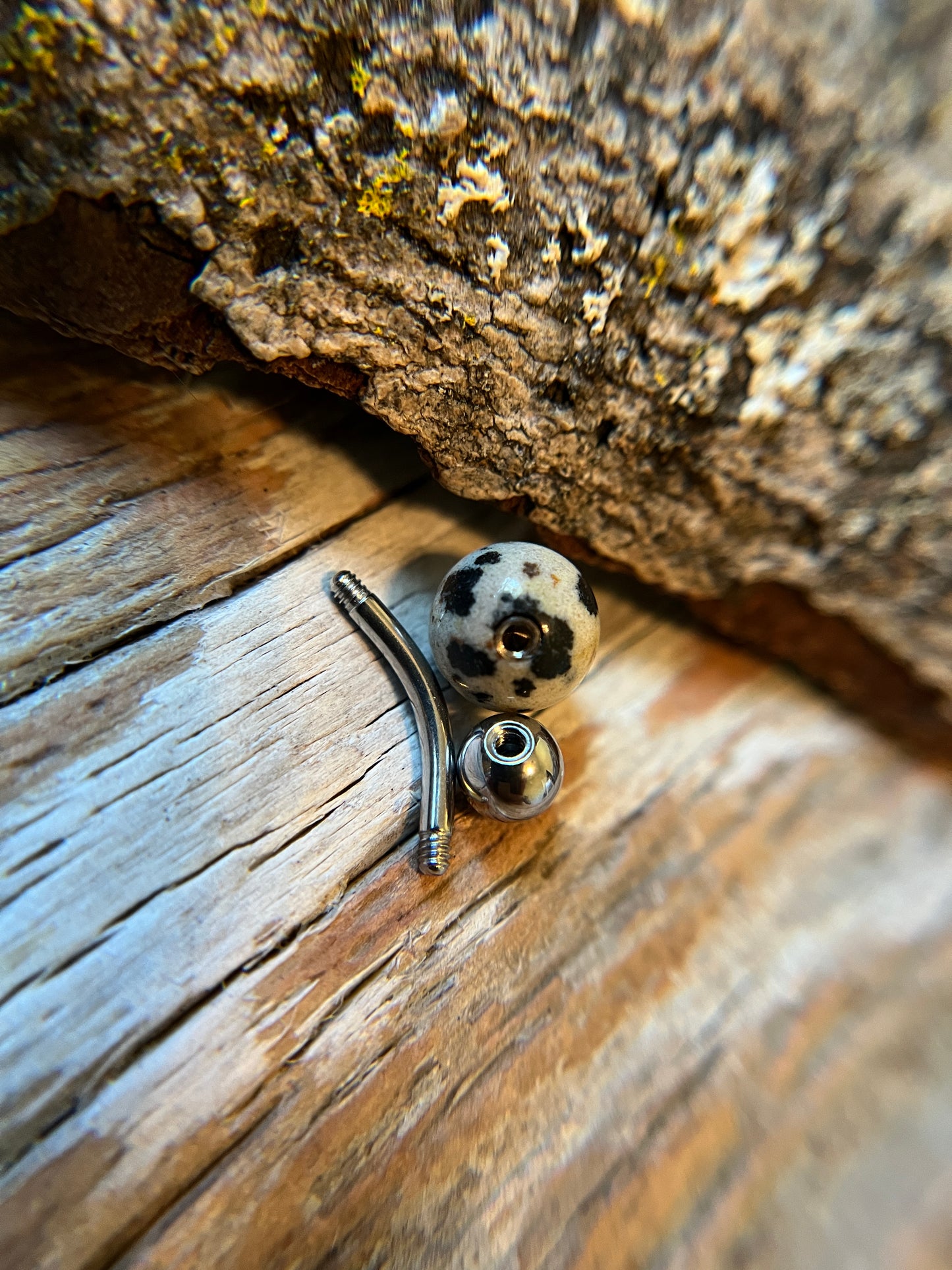 SALE! Dalmatian Jasper Natural Stone 14G Curved Barbell