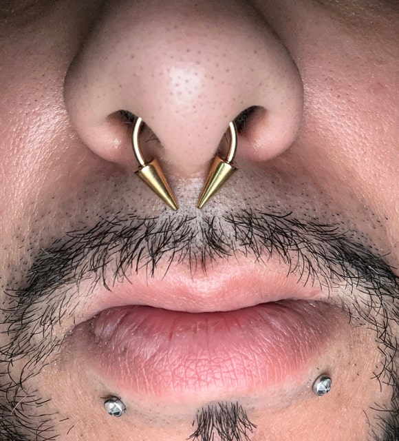 Gold or Rose Gold Titanium Ion Plated Long Spikes 16G Horseshoe Ring