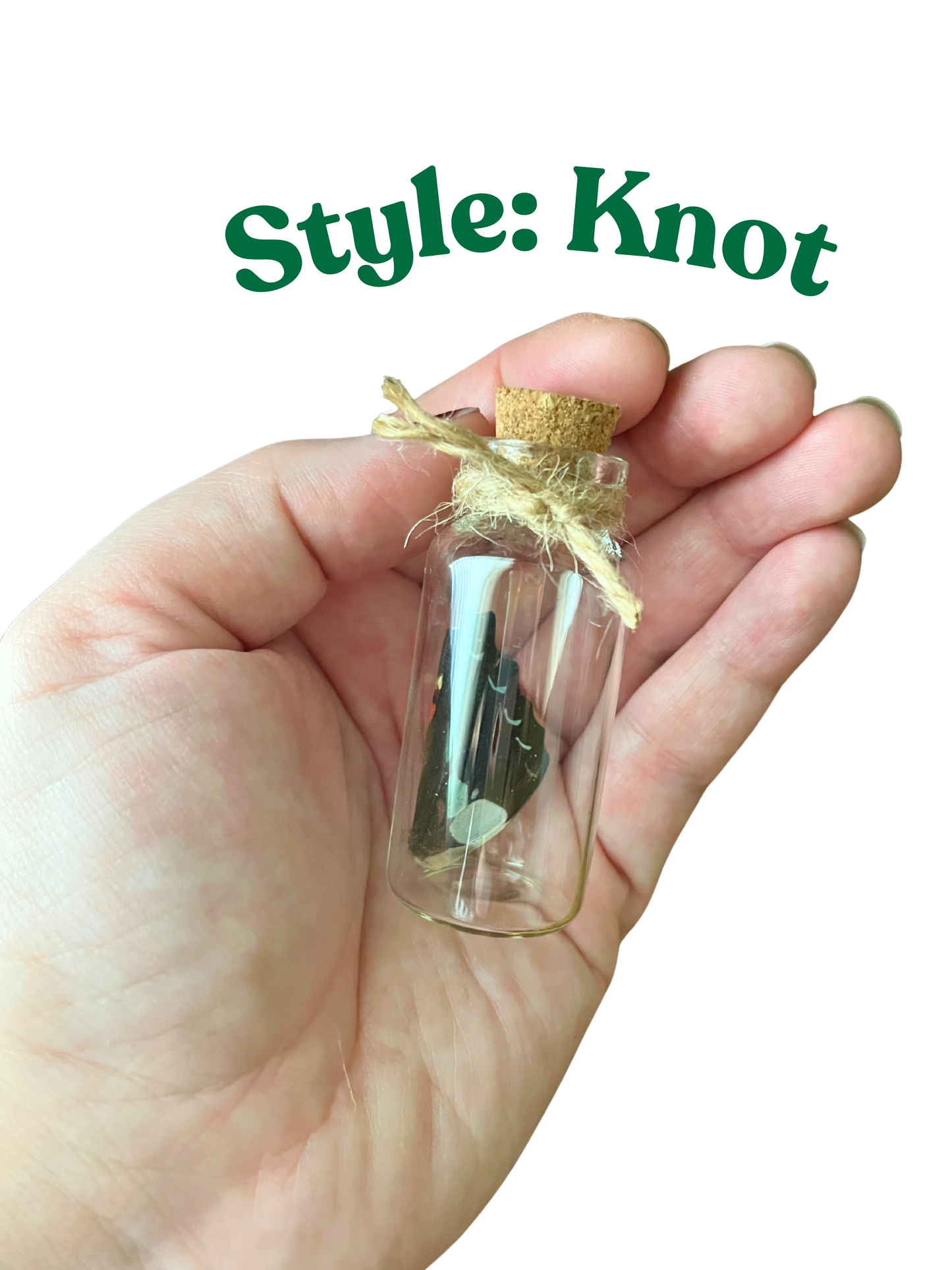 Real Cicada Wing in a Glass Jar Oddity Trinket