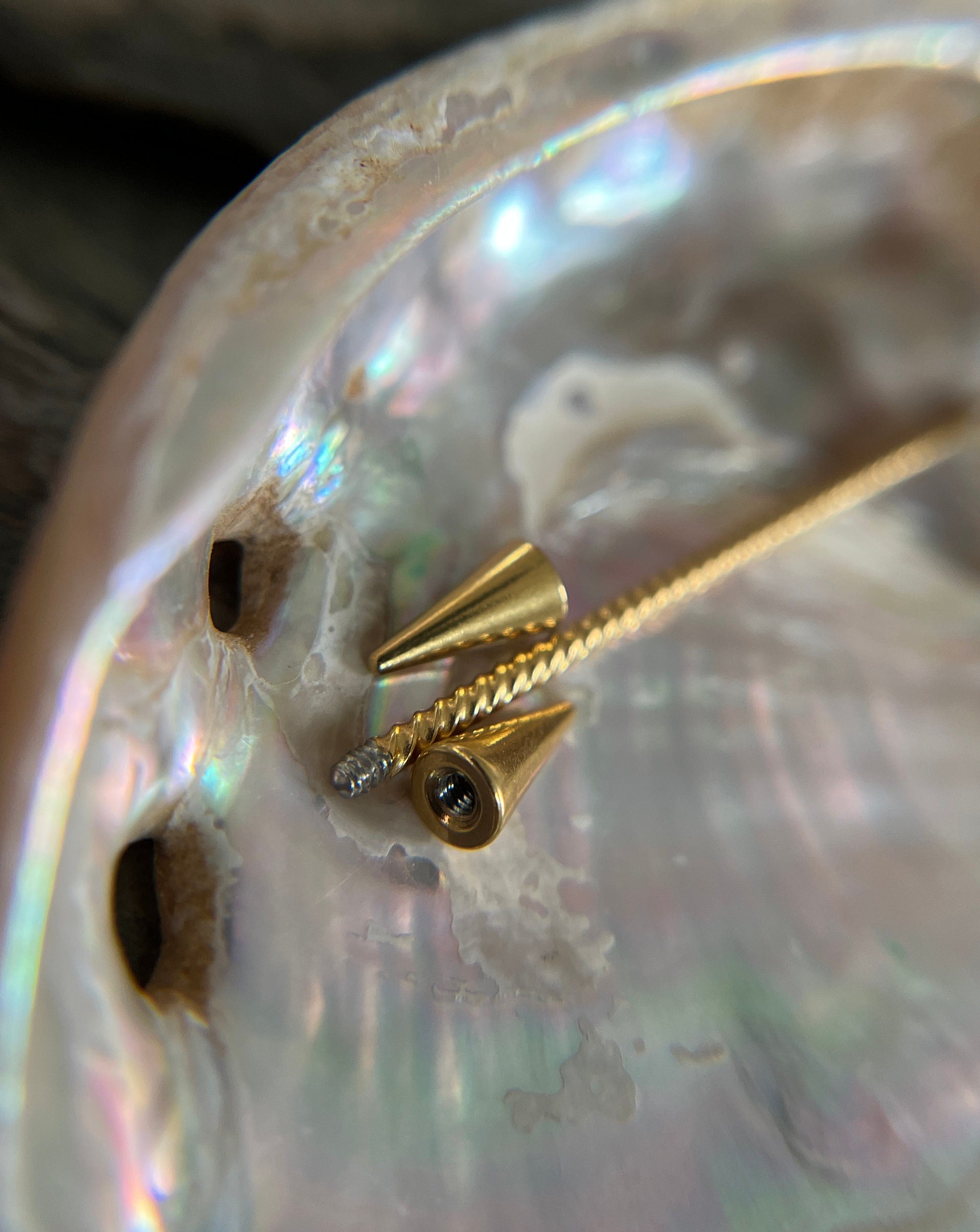 Titanium Ion Plated Surgical Steel Twisted Braided Long Spikes Industrial Scaffold Barbell 14G (1.6mm) Piercing Piercings Bar Spiked