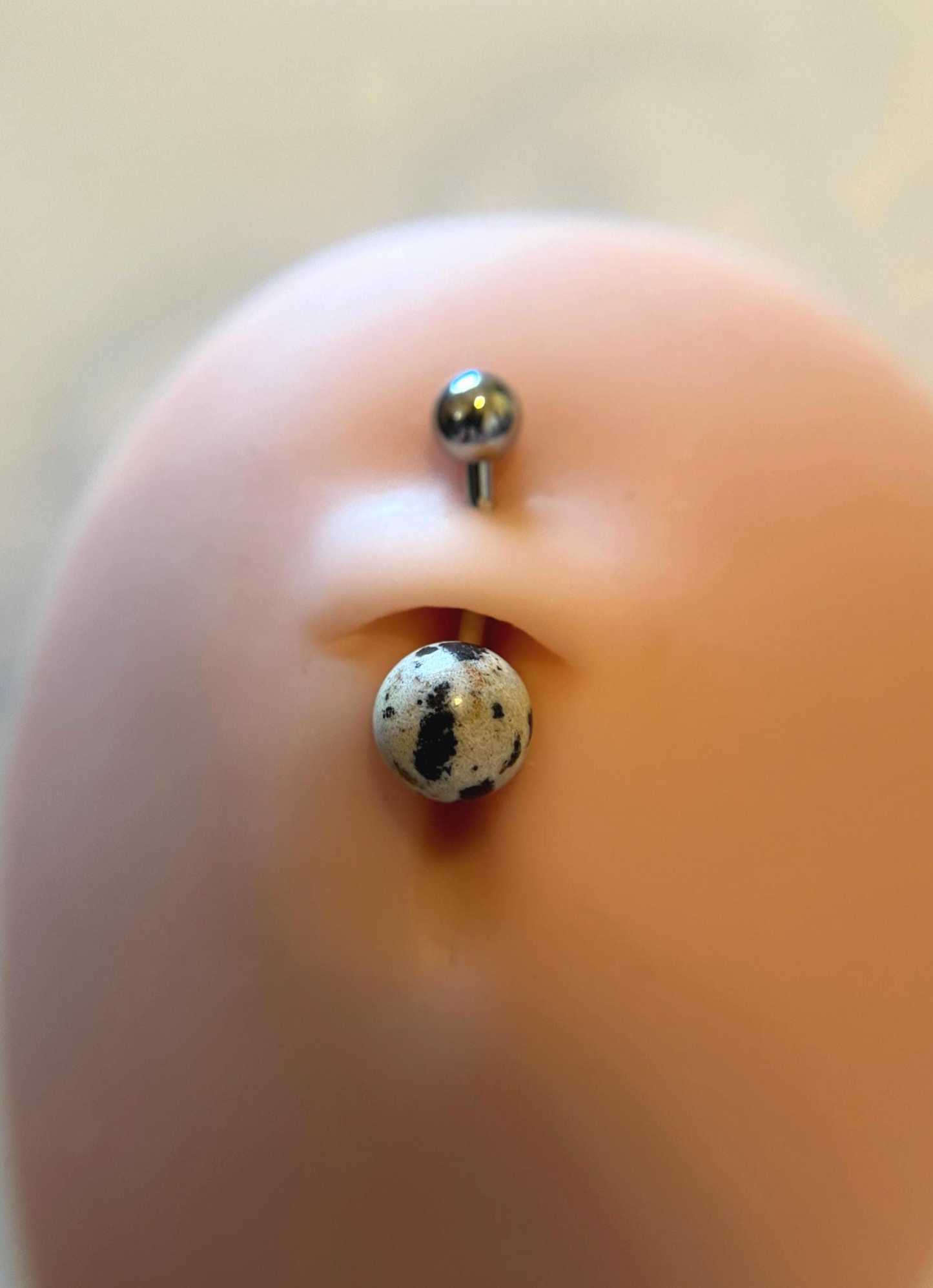 SALE! Dalmatian Jasper Natural Stone 14G Curved Barbell