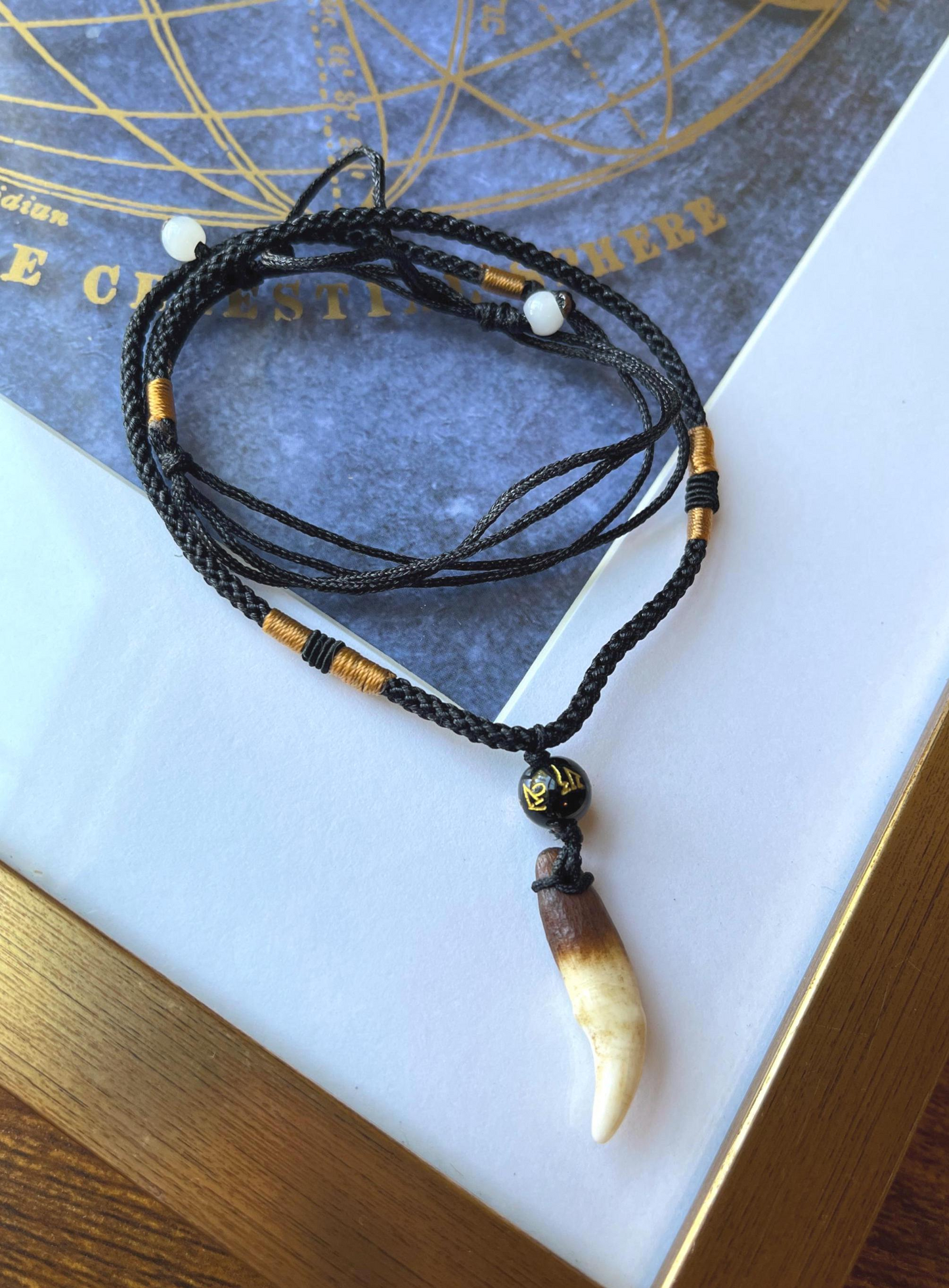 Real Coyote Tooth Necklace with Adjustable Cord