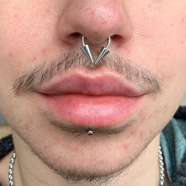 316L Surgical Steel Long Spikes 16G Horseshoe Ring