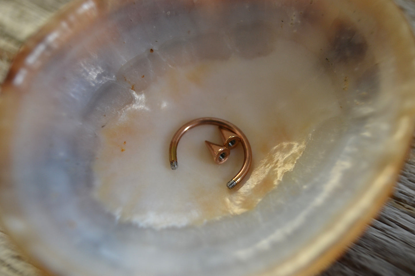 Rose Gold Titanium Plated Pick Your Spike Length 16G Horseshoe Ring