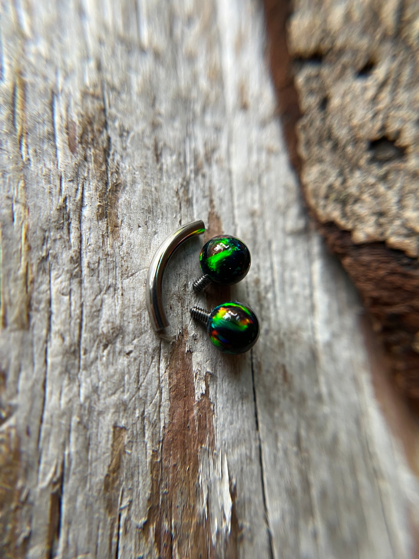 Black Autumn Fire Opal Internally Threaded Steel or Titanium 14G Belly VCH Barbell