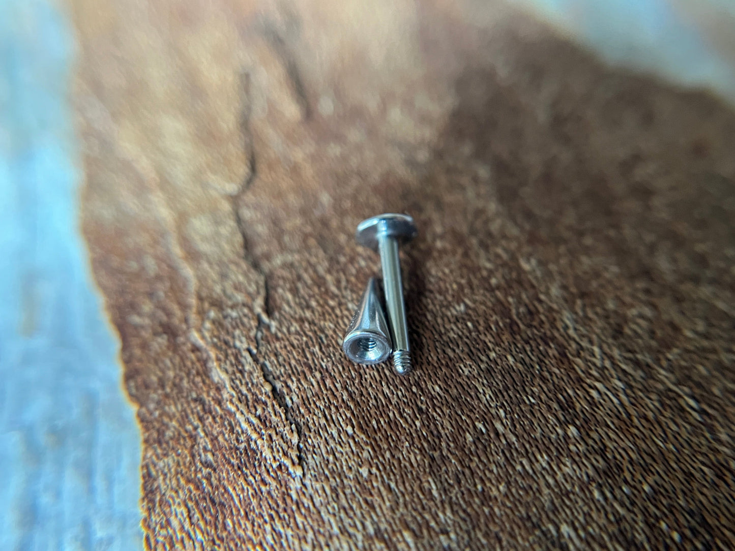 Petite Spike 316L Surgical Steel 16G Flat Back Labret