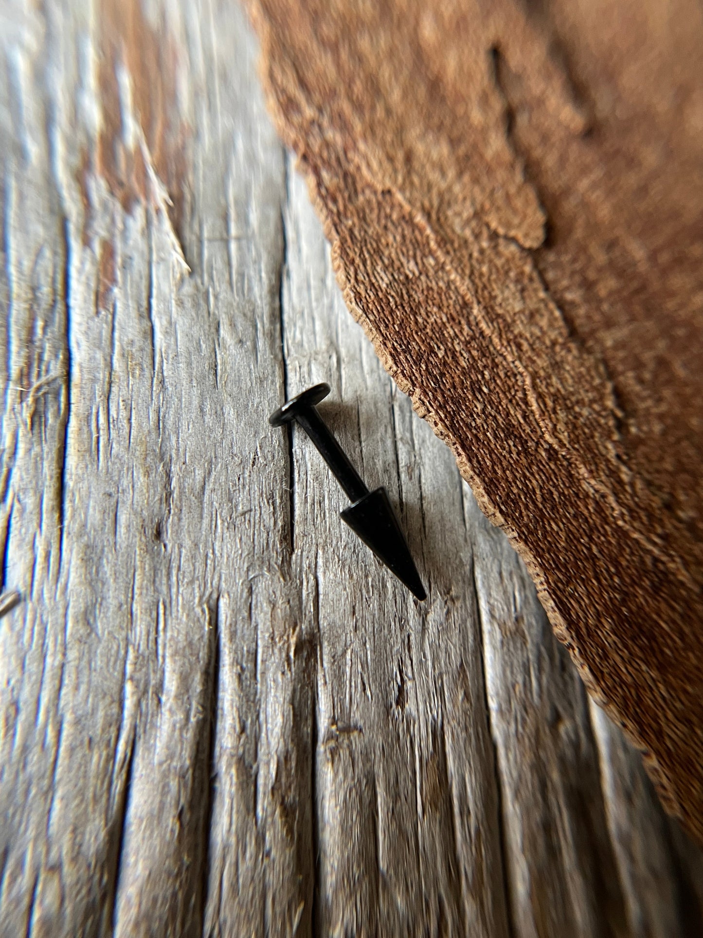 Petite Spike Black Titanium IP 16G Flat Back Labret