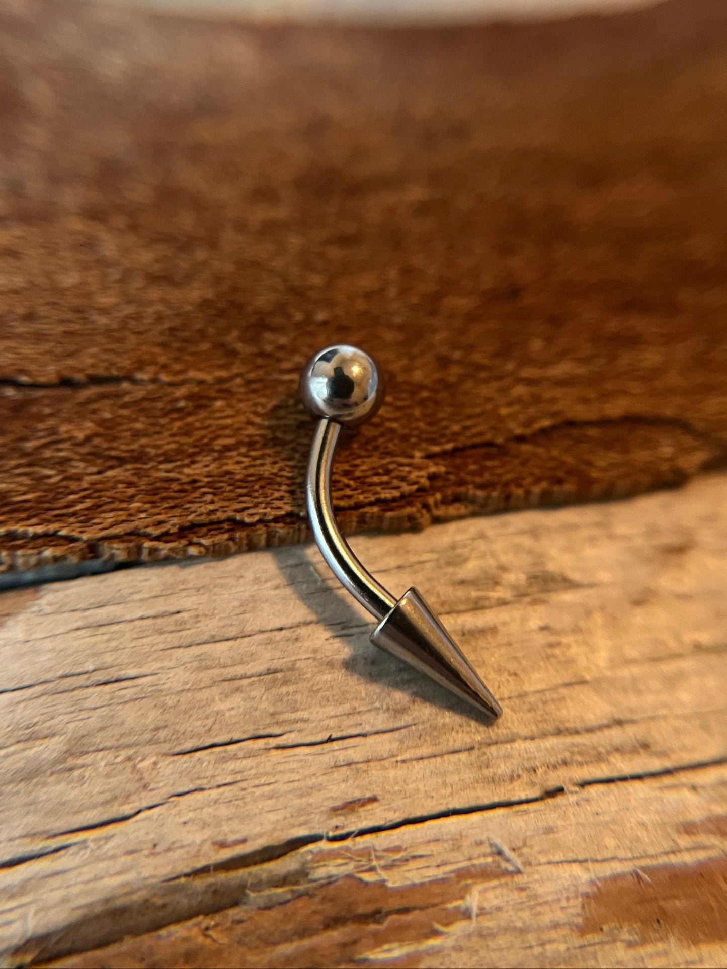 316L Surgical Steel Long Spike 16G Curved Barbell