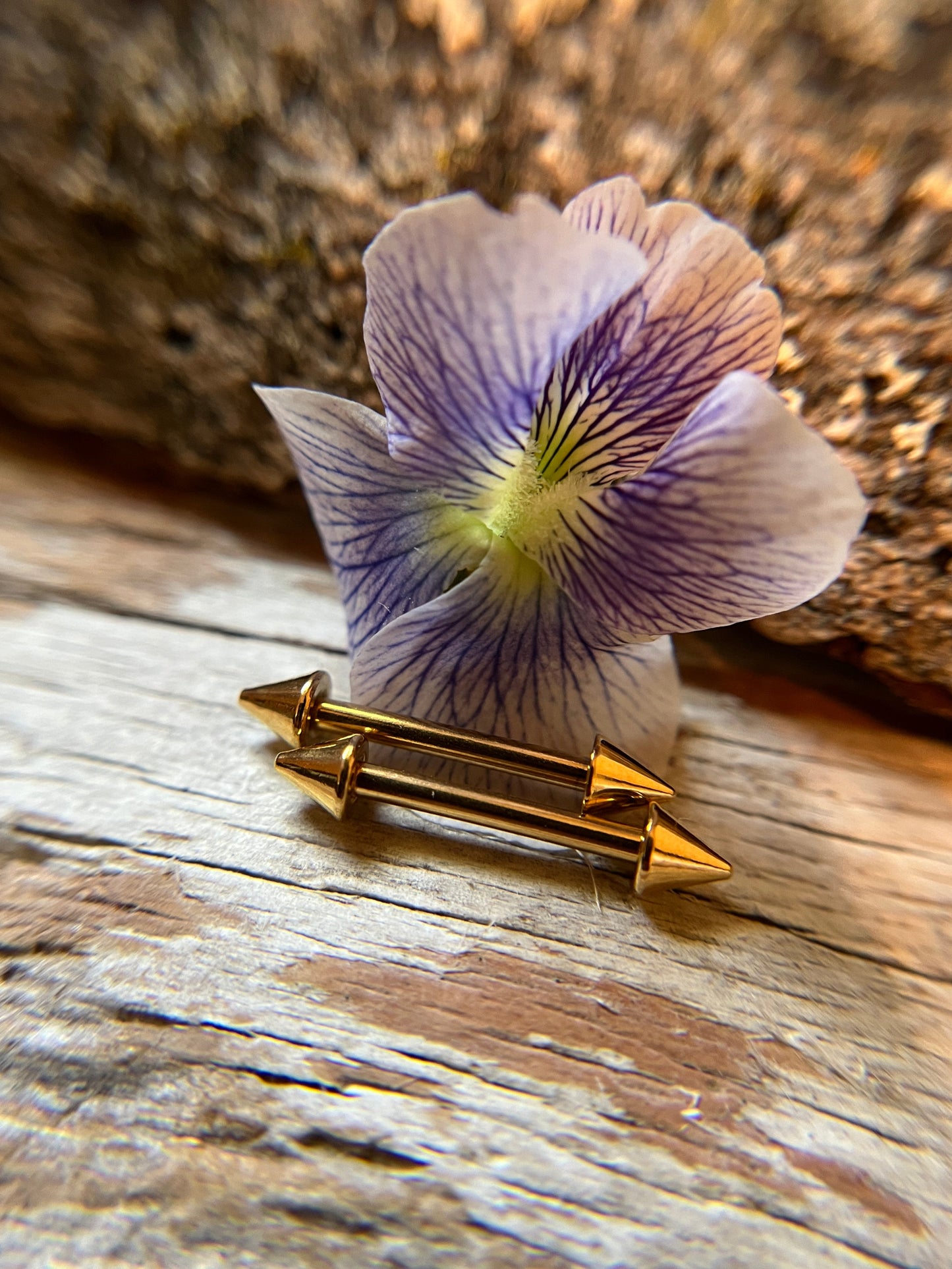 Pair of Petite Spikes Gold Titanium IP 14G Nipple Piercing Barbells