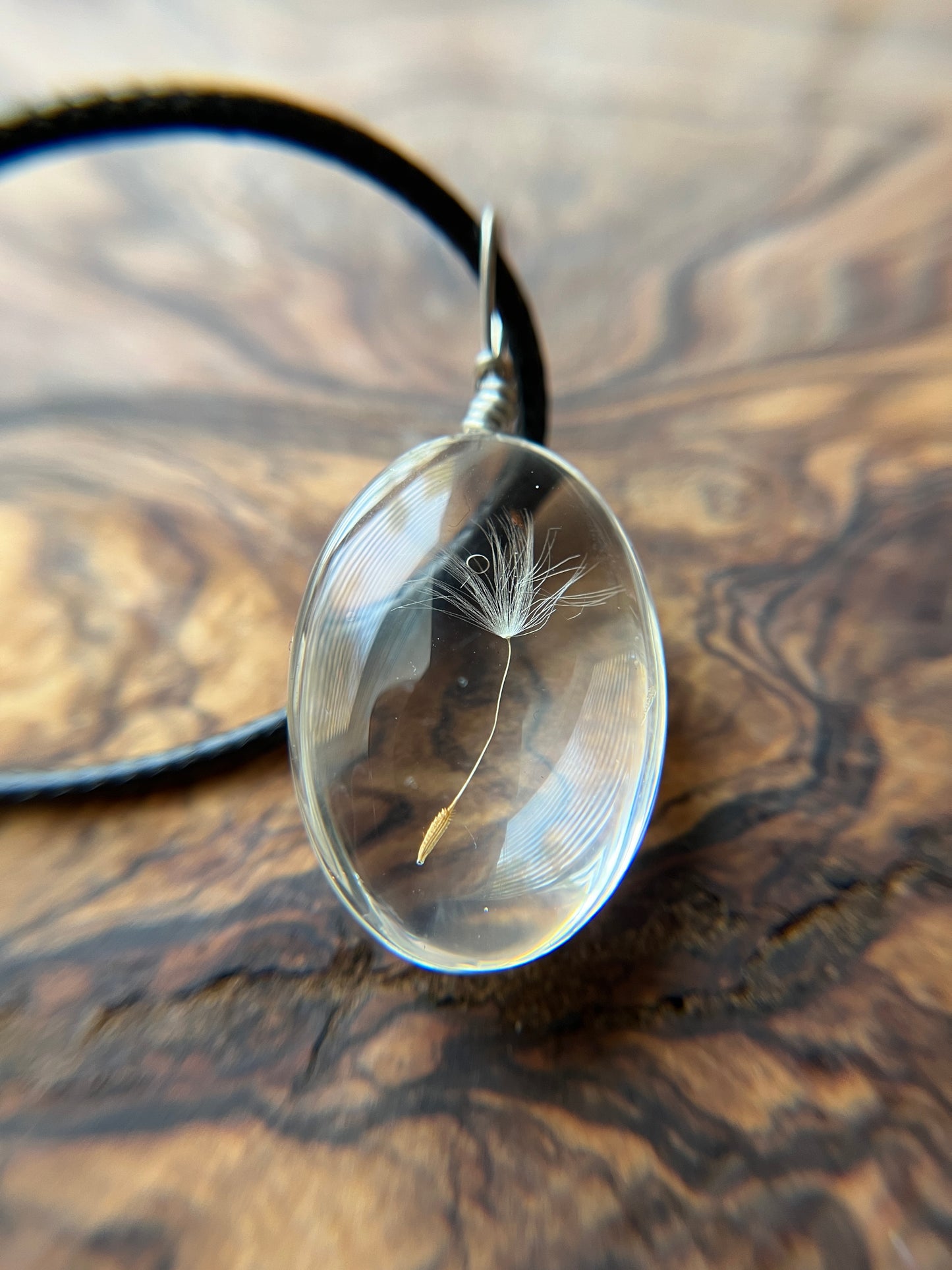 Real Dandelion Seeds Glass Pendant Necklace