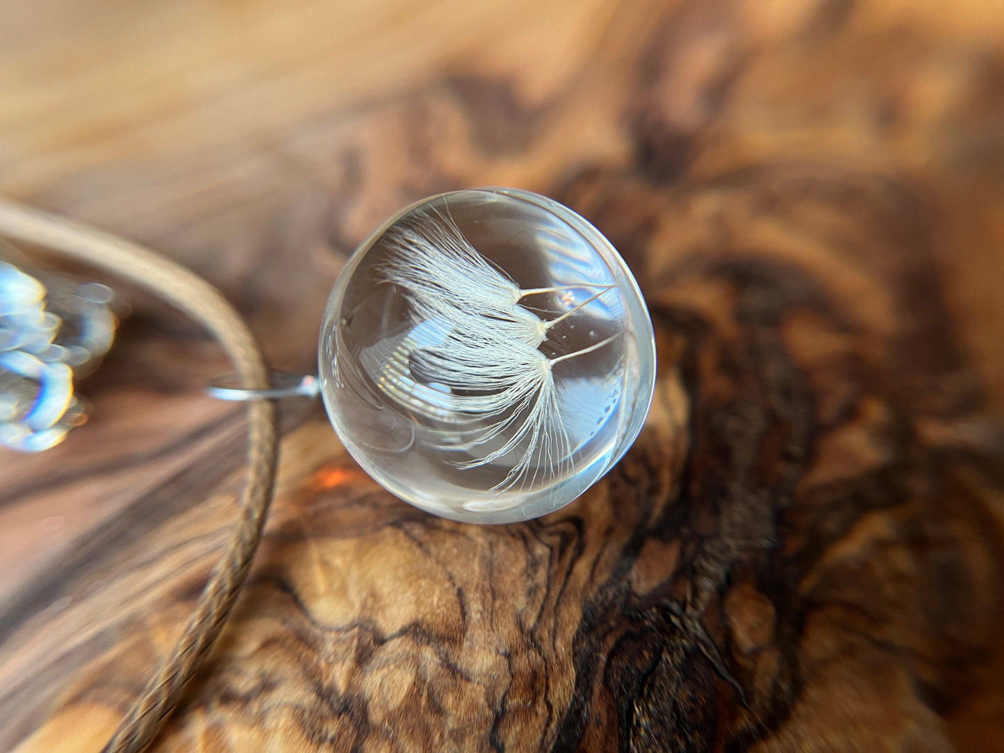 Real Dandelion Seeds Glass Pendant Necklace