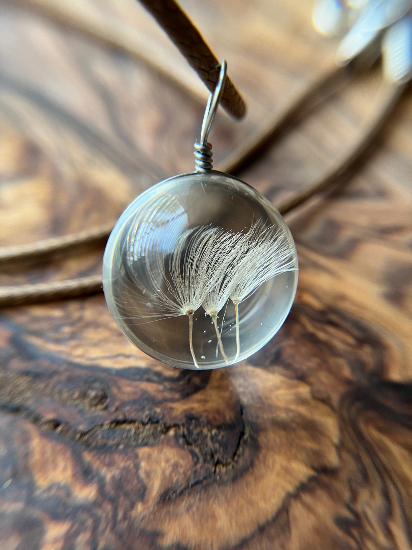 Real Dandelion Seeds Glass Pendant Necklace