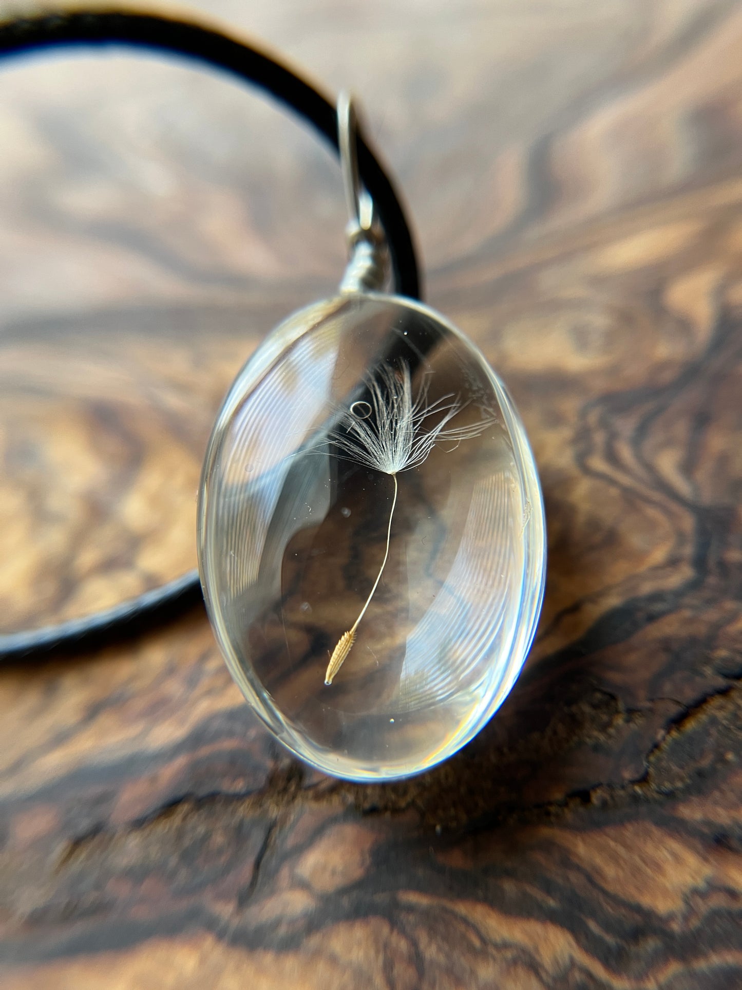 Real Dandelion Seeds Glass Pendant Necklace