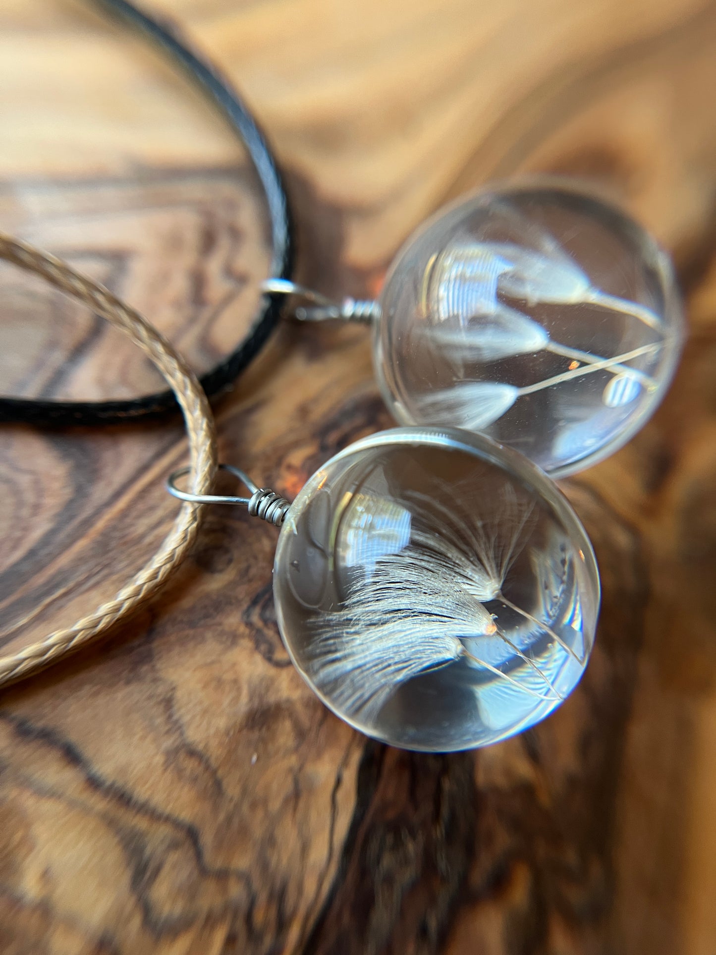 Real Dandelion Seeds Glass Pendant Necklace