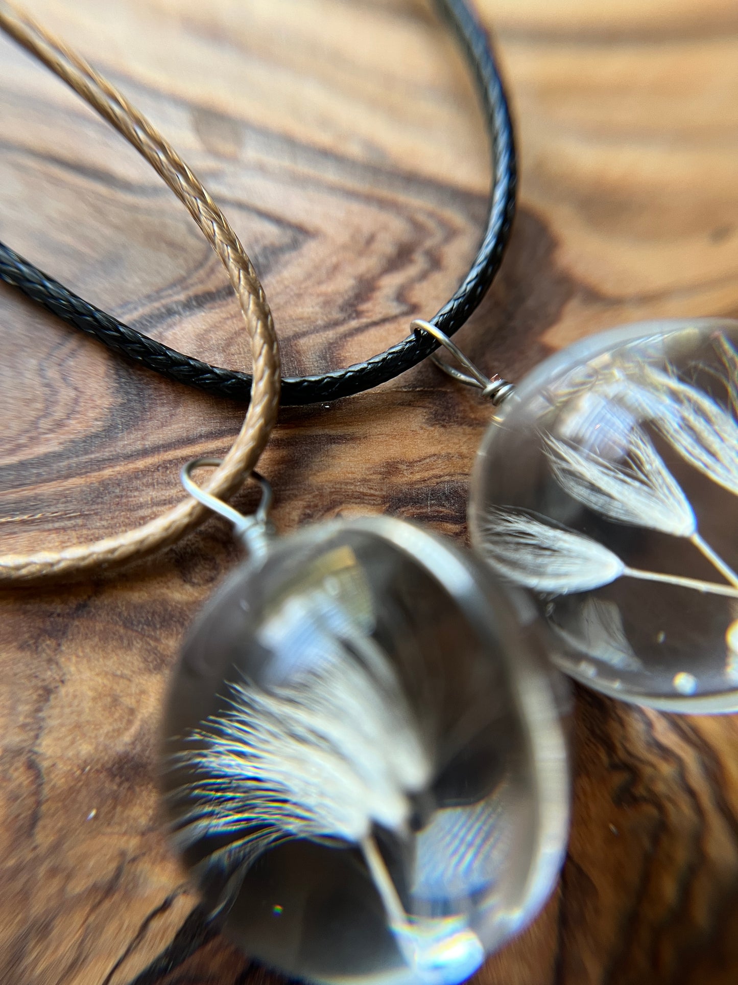 Real Dandelion Seeds Glass Pendant Necklace