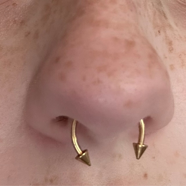 Gold Titanium Ion Plated Spiked 16G Horseshoe Ring