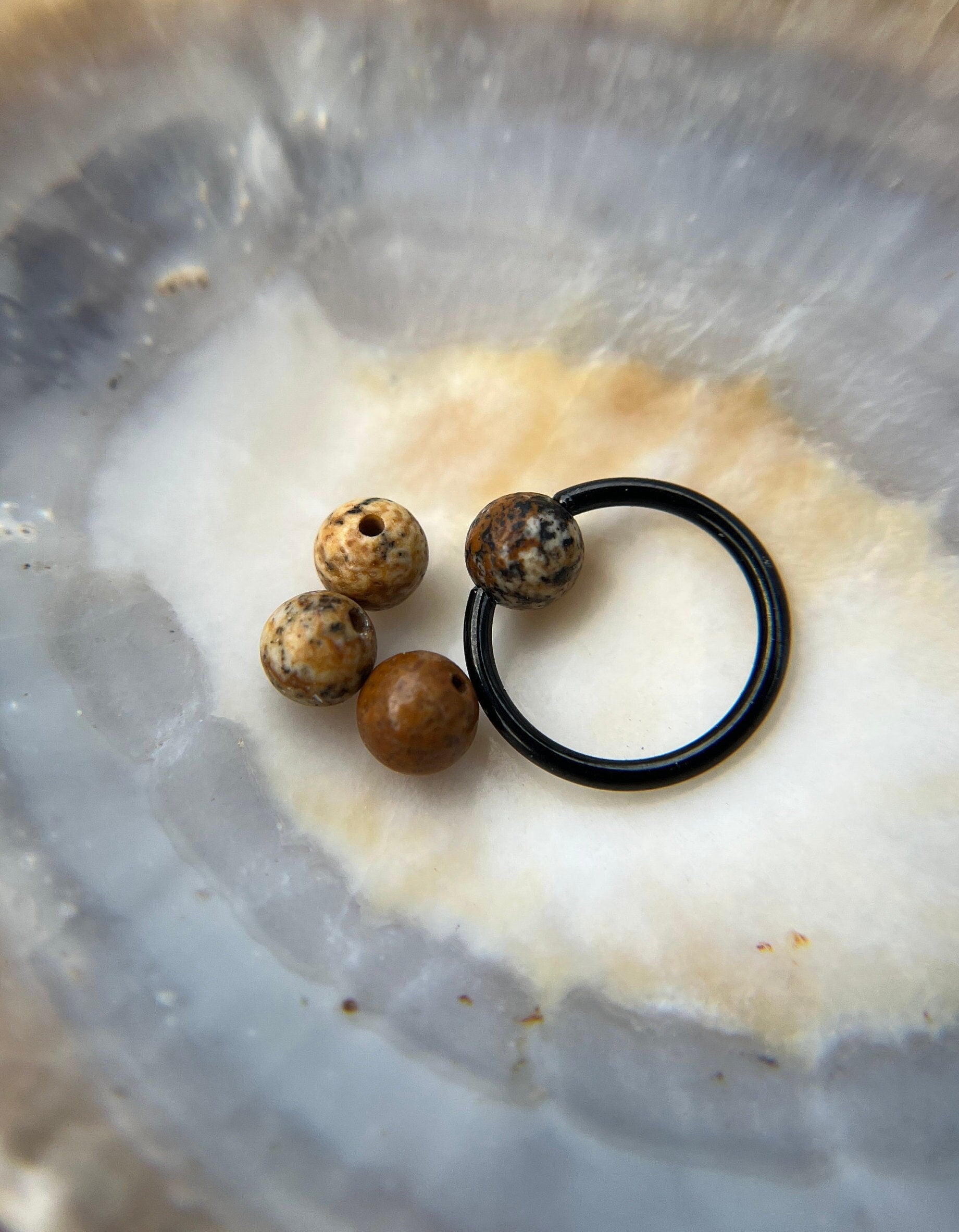Natural Picture Jasper Stone Bead Black Titanium Plated CBR Ring Hoop 16G (1.2mm) 14G (1.6mm) Nose Cartilage Septum Piercing Steel Daith
