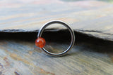 Natural Carnelian Stone Bead Steel CBR Ring Hoop 16G (1.2mm) 14G (1.6mm) Nose Cartilage Septum Lip Piercing 316L Surgical Hypoallergenic