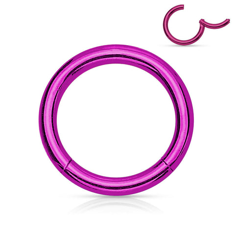 Purple Hinged Segment Ring for Piercings